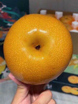 一年就这一季的秋月梨,一口下去满嘴都是清甜的梨汁!想了一年的秋月梨终于来了!太太太水润了!又大又甜!太满足了!#新鲜采摘 #应季水果#梨 #强烈推荐 #秋月梨