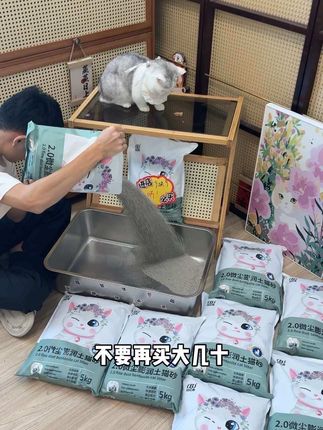姐妹们,不要买大几十的猫砂了,现在一包十斤到手才9块,而且还没粉尘跟甲醛!#养猫新手 #猫砂测评 #猫砂 #猫砂推荐 #新手养猫