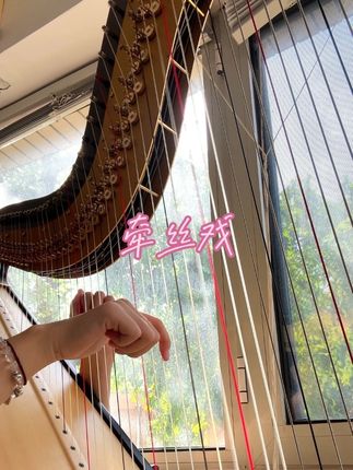 牵丝戏|“捻一段红尘柔水,牵一只引退丝戏” #竖琴 #牵丝戏 #好听的音乐总是触动人的心灵 #治愈系 #音乐