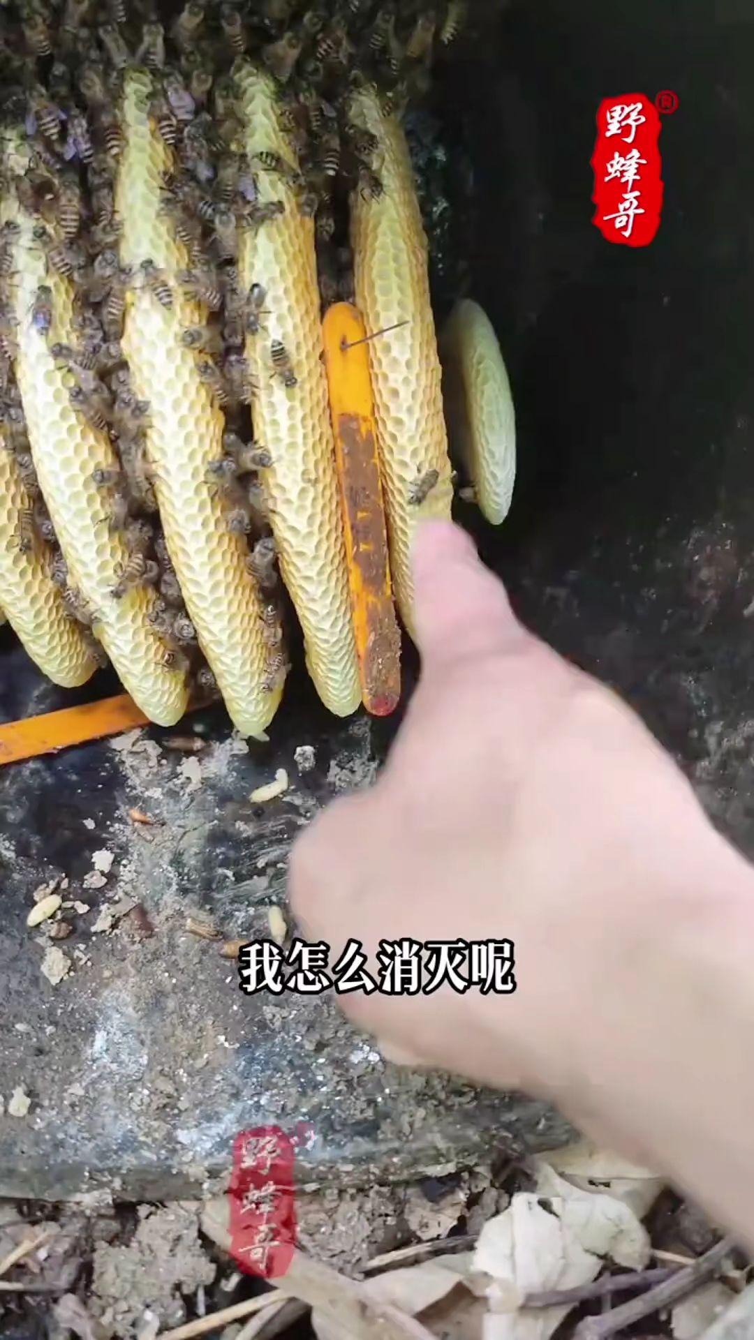#李羲承 #李羲承让粉丝闭眼 #李羲承符神颜 #李羲承的无限魅力