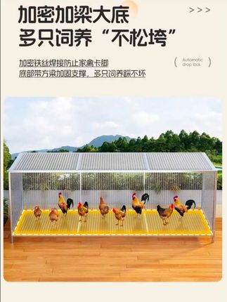 鸡笼子家用室内外特大号防黄鼠狼密网防雨农村鸡鸭养殖笼#实用好物 #养鸡笼#农村养殖 #农村土鸡 #养鸡