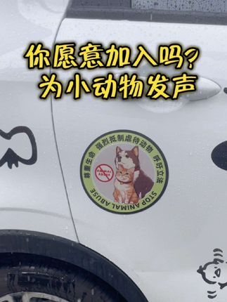 人类文明的高度不在于征服自然界的壮举,而在于如何对待那些无力反抗的生命#流浪猫 #流浪狗 #爱狗人士 #流浪狗不再流浪
