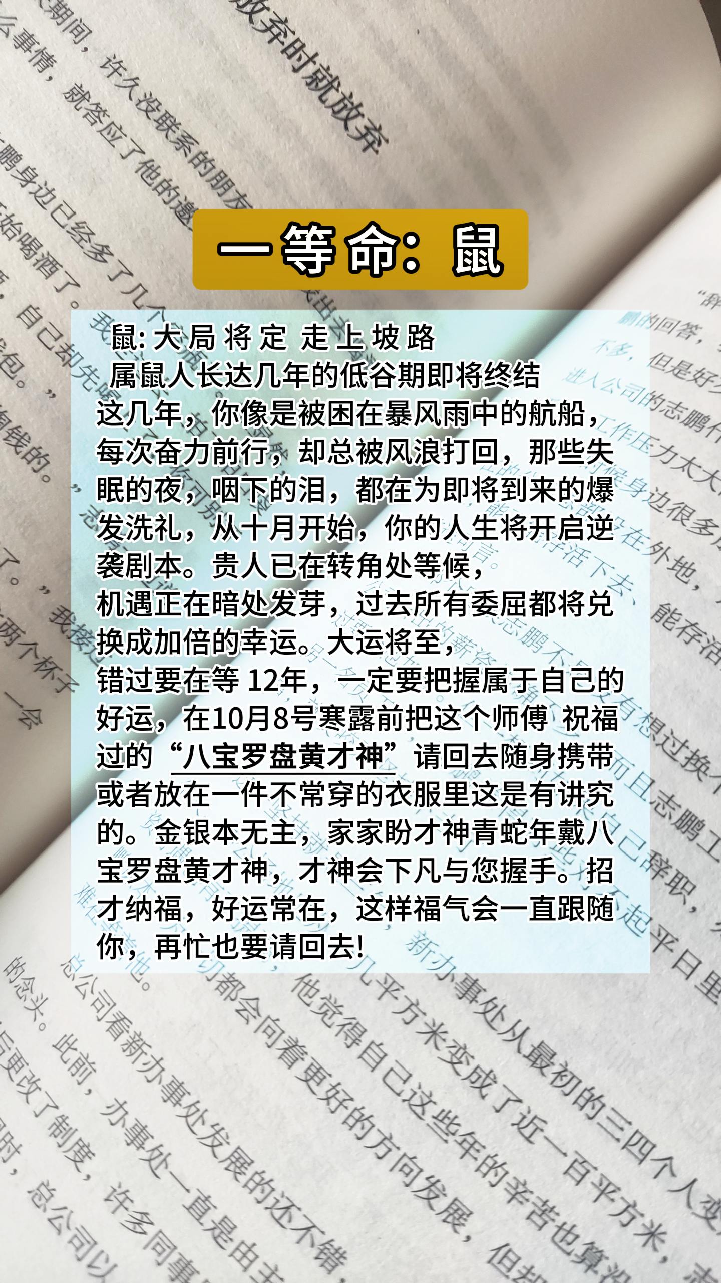 #鼠
