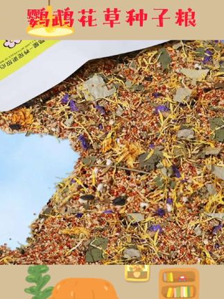 鹦鹉鸟粮麻沙叽花草种子饲料牡丹混合专用粮五色黍谷子鸟食#鹦鹉日常 #鹦鹉花草籽 #鹦鹉花草种子粮 #鹦鹉种子粮 #鹦鹉鸟粮饲料