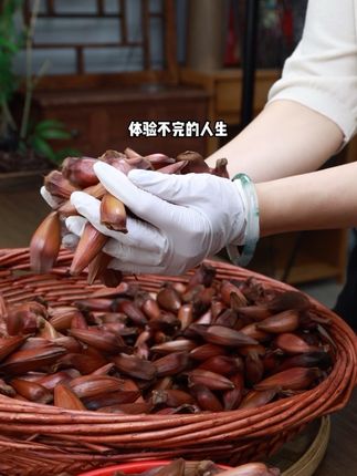 姐妹们,人生短短几十载,不如给个云南大松子机会!#巴拉那松