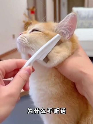 宠物密齿梳(加厚升级买一送一)猫狗嘴毛清理