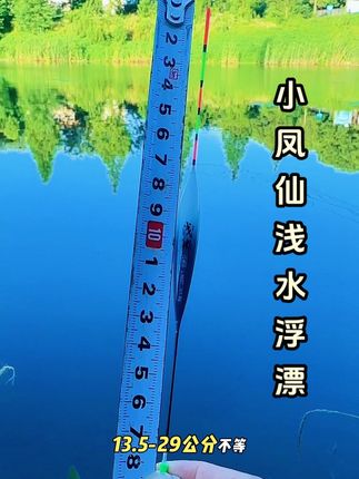短脚短尾翻身快,钓浅水、草洞的天花板#钓鱼人 #钓鱼 #浮漂