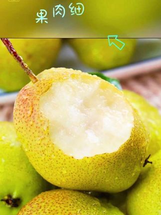 #上热门 #新鲜采摘 #优质农产品 #快来一起尝个鲜 #脆甜多汁 @DOU+小助手