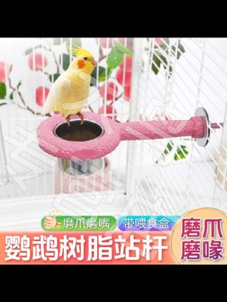 不要再用这种站架了,看看这个树脂站架吧!鹦鹉站在上面就能磨嘴磨爪子,树脂材质不会伤到鸟宝的脚,比原木更耐用,还更好清理,脏了用水一冲就干净了,赶紧给家里的鸟宝安排上吧!#好物分享#今日分享#宠物用品