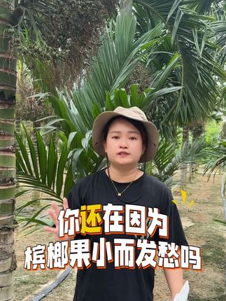 你还在因为槟榔果小而发愁吗?用它帮你搞定!#槟榔膨果 #槟榔种植 #槟榔管家