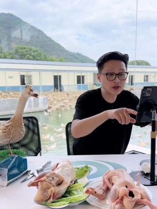 缙雲麻鸭正宗地标缙云老麻鸭天然老鸭顺丰包邮冷链配送去内脏#老麻鸭