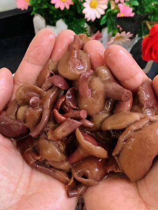 口感滑嫩脆爽的红乳生肝菌你和我一样爱吃吗?在家这样一炒鲜香味美,我家每次炒都抢着吃#云南菌子#你吃过吗 云南美食 #美味下饭菜发