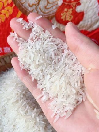 新米来啦!这款猫牙长粒香米5斤装,颗粒修长饱满。煮好的米饭自带清香,入口软糯又带着恰到好处的弹牙感,每一粒都分明不粘,就算是白米饭也能让人不知不觉吃两碗,老人小孩都爱这口家常味~#大米 #香米 #猫牙米 #长粒香大米 #好好吃饭大赛