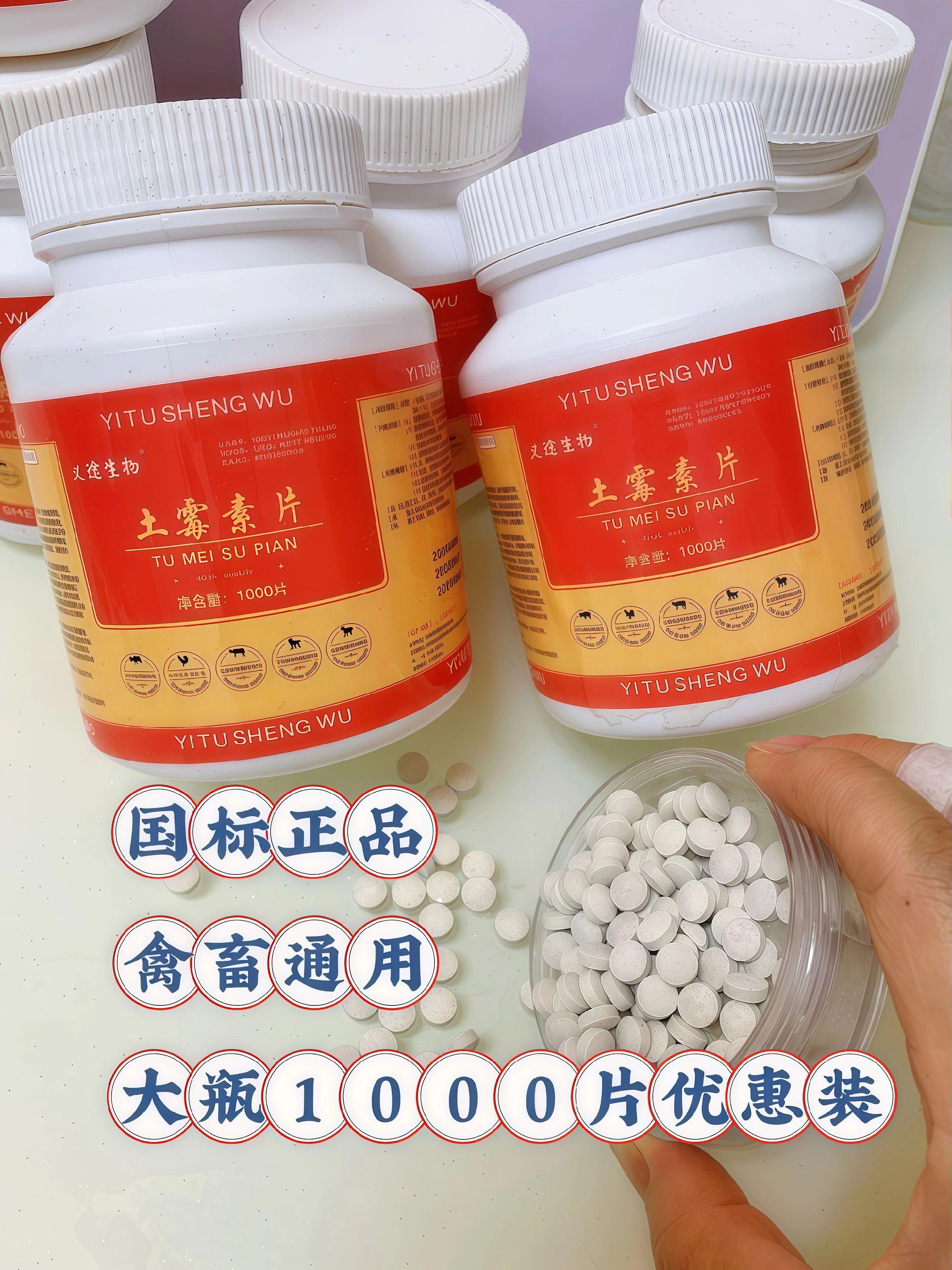 #养鸡人 #养鸡小妙招 #鸡鸭鹅养殖 #家禽养殖 #养殖技术