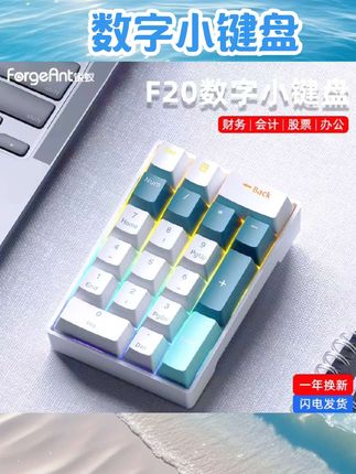 F20数字机械小键盘有线笔记本台式电脑外接财务计算器收银方向键#数字机械小键盘 #数码产品 #数码配件 #数码好物 #数码