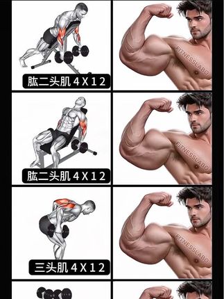 手臂训练计划,打造饱满肱二头肌💪自己瞎练一年不如学后练一个月,健身少走弯路#二头肌训练 #居家锻炼 #手臂训练 #二头弯举 #三头肌训练