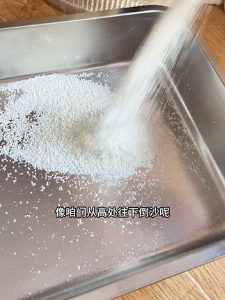 养猫就用木薯猫砂,安全又放心 #养猫人 #铲屎官 #萌宠好物 #猫砂 #种草