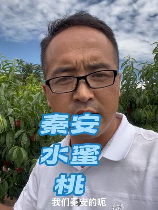 #优质农产品 #三农 #原创视频 #乡村振兴dou行动 秦安县水蜜桃