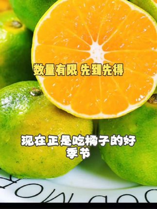 云南早熟的青皮蜜橘子无籽蜜桔子酸甜桔子皮薄肉厚多汁应季水果橘