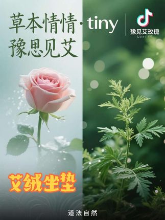 没想到艾绒坐垫这么受欢迎!久坐不凉腰,谁用谁知道!#国货护肤#天然护肤 #养生保健 #好物推荐 #直播带货