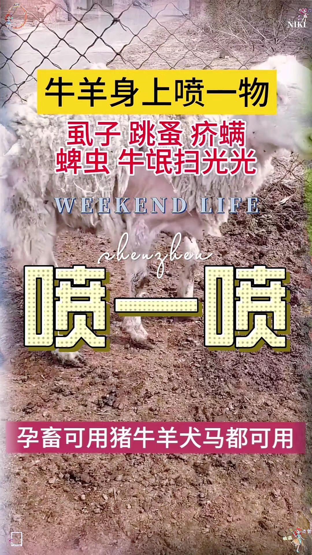 #张予曦 #毕雯珺 #深情眼 #张予曦毕雯珺真拍了红裙抱 #谁穿谁好看