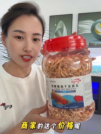 鱼儿不吃吃怎么办?