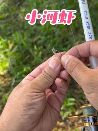 用只虾结束国庆假期 #钓鱼装备 #黄脚腊 #黄脚立