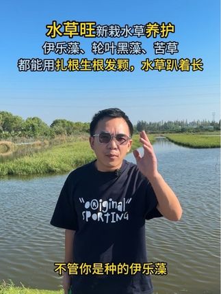 水草旺水产养殖新栽水草养护七不败伊乐藻轮叶黑藻苦草都能用扎根生根发颗#水产养殖 #鱼虾蟹养殖 #小龙虾养殖 #螃蟹养殖 #稻虾共作