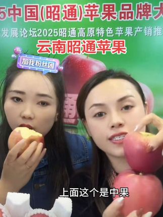 云南昭通苹果#强烈推荐 #现摘现发新鲜到家 #优质水果 #口感特别好