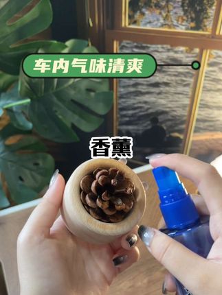 这个长得像松果一样的小东西,其实是一个扩香木,只需要把香水喷在这个上面,它就会慢慢的渗透进去,放在房间里面,那么你房间里就都是这个香味。像我一般会喷上橙香,整个屋子都弥漫着清新的味道,不管是放在床头、办公桌或者是玄关都特别的好看。#香薰 #好物 #好物推荐🔥 #好物测评 #好物种草
