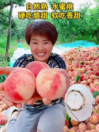 #桃子熟了 #水蜜桃 #快来一起尝个鲜