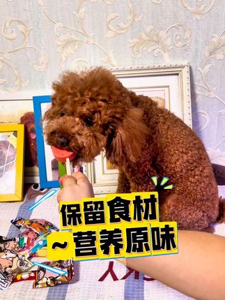 夏日给汪冲能量!别忘安排日和洁齿棒棒糖哟!!!#夏天#狗狗零食#狗狗#日和优宠狗狗棒棒糖