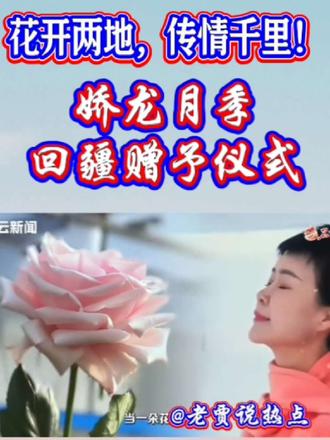 “娇龙”月季将抵达昭苏
#娇龙月季 #贺娇龙 #花开两地传情千里 #娇龙月季赠予仪式 #讨论