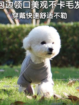 姐姐上学去了小狗狗一定特别想姐姐,身上的四角虽然有点小贵,但是质量是真的好,小狗狗穿上舒适又保暖,现在下单两件送一件棉麻围巾哦#宠物衣服#萌宠好物#宠物四脚衣