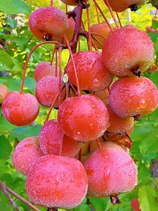 #视频同款  #秋季穿搭  #时尚漂亮