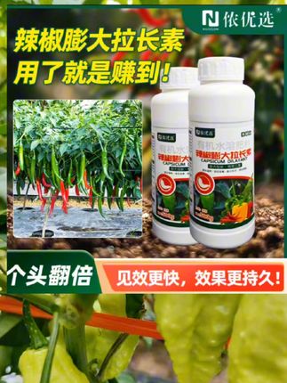 珺颜辣椒膨大拉直素顺直增产增收坐果催花专用辣多三不落上色#保花保果#膨大拉长#促进花芽分化增产增收