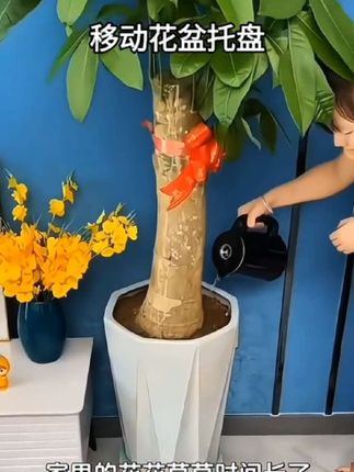 移动花盆托盘 超强承重,有了它,你家笨重的绿植可轻松移动,让您打扫卫生更方便#爱生活爱养花#好用不贵经济实惠#移动花盆托盘