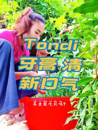 #tondi牙膏 #【热卖】官方正品Tondi牙膏耀白美白去黄去烟渍清新口气tondi牙膏#原创作品 #热门