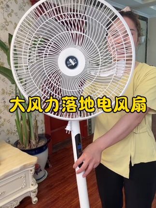 夏天怕热又不舍得开空调的!赶紧来抢这个智能遥控落地扇!#好物推荐🔥 #落地电风扇推荐 #大风力电风扇 #夏季必备 #家用落地扇