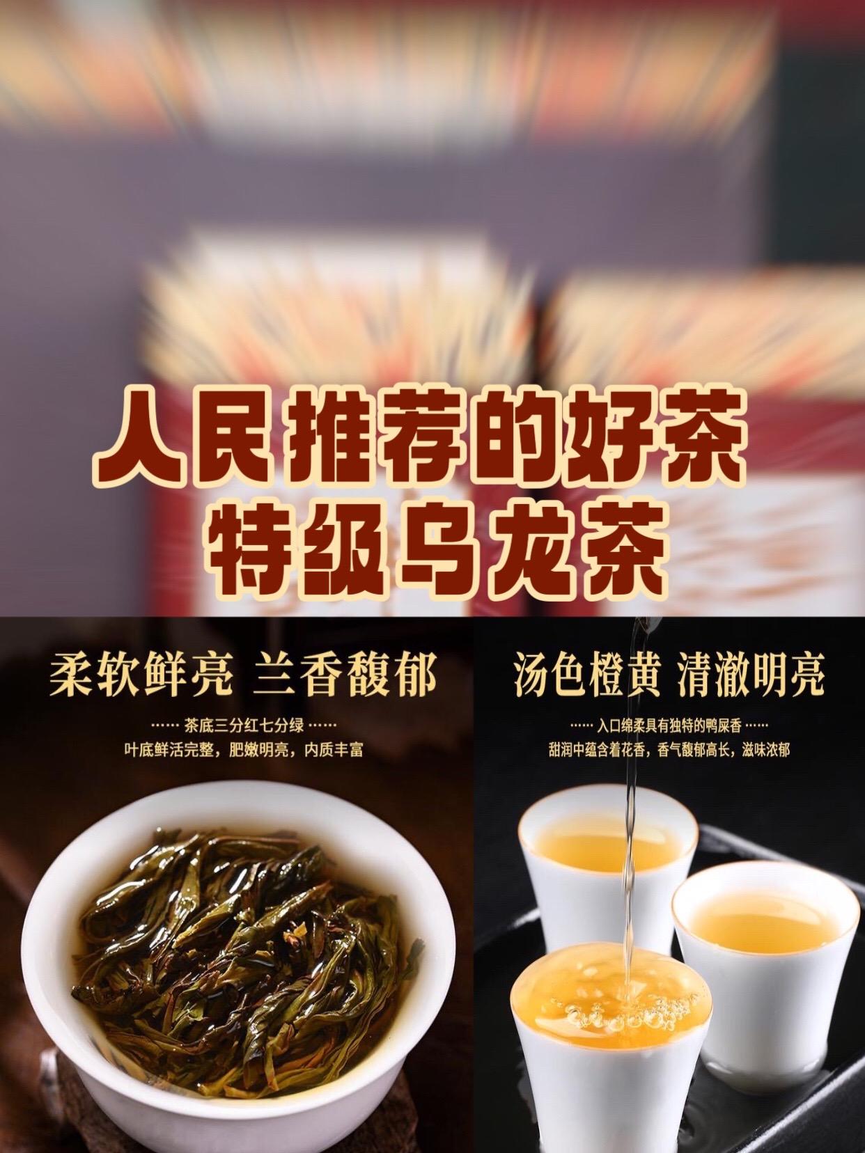 人民推荐的好茶朝颜2025凤凰单枞鸭屎香蜜兰香乌龙茶乌岽茶叶春季茶叶送礼盒套装#特级乌龙茶 #鸭屎香乌龙茶 #乌岽茶 #茶叶 #新茶
