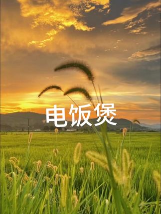 #电饭煲 #智能电饭煲 #厨房好物