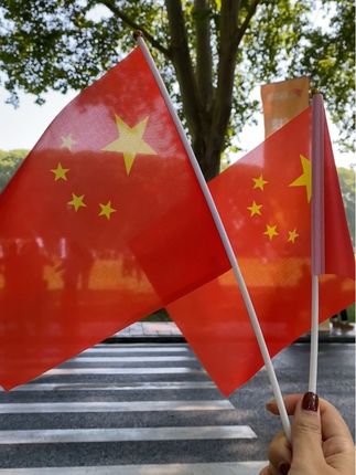 #国旗 #小国旗 #国庆节
