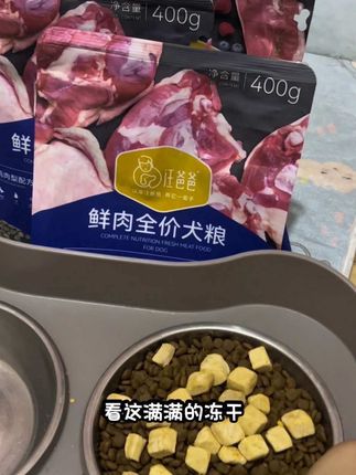 比正装划算的大包试吃装,赶紧多薅一点#狗粮推荐 #汪爸爸狗粮 #薅羊毛 #萌宠