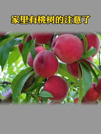 #老祖宗的智慧#传统文化