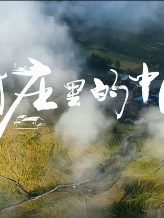 央视一套首播《村庄里的中国》第二集——农桑稼穑 涉县王金庄梯田