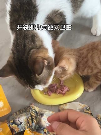 #蒸煮鱼油鸭胸肉#鸭肉#宠物零食 #宠物食品