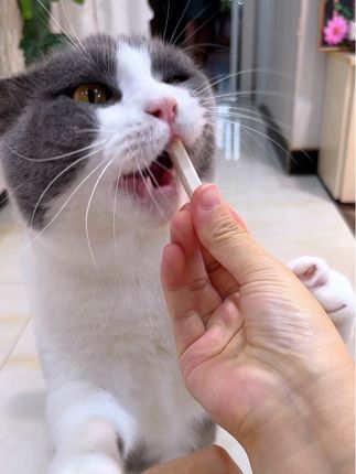70%全脂羊乳加30%鲜鸡肉,没有哪只猫咪能拒绝的羊奶冻干棒,营养美味又磨牙#萌宠好物 #麦富迪 #猫零食 #养猫人