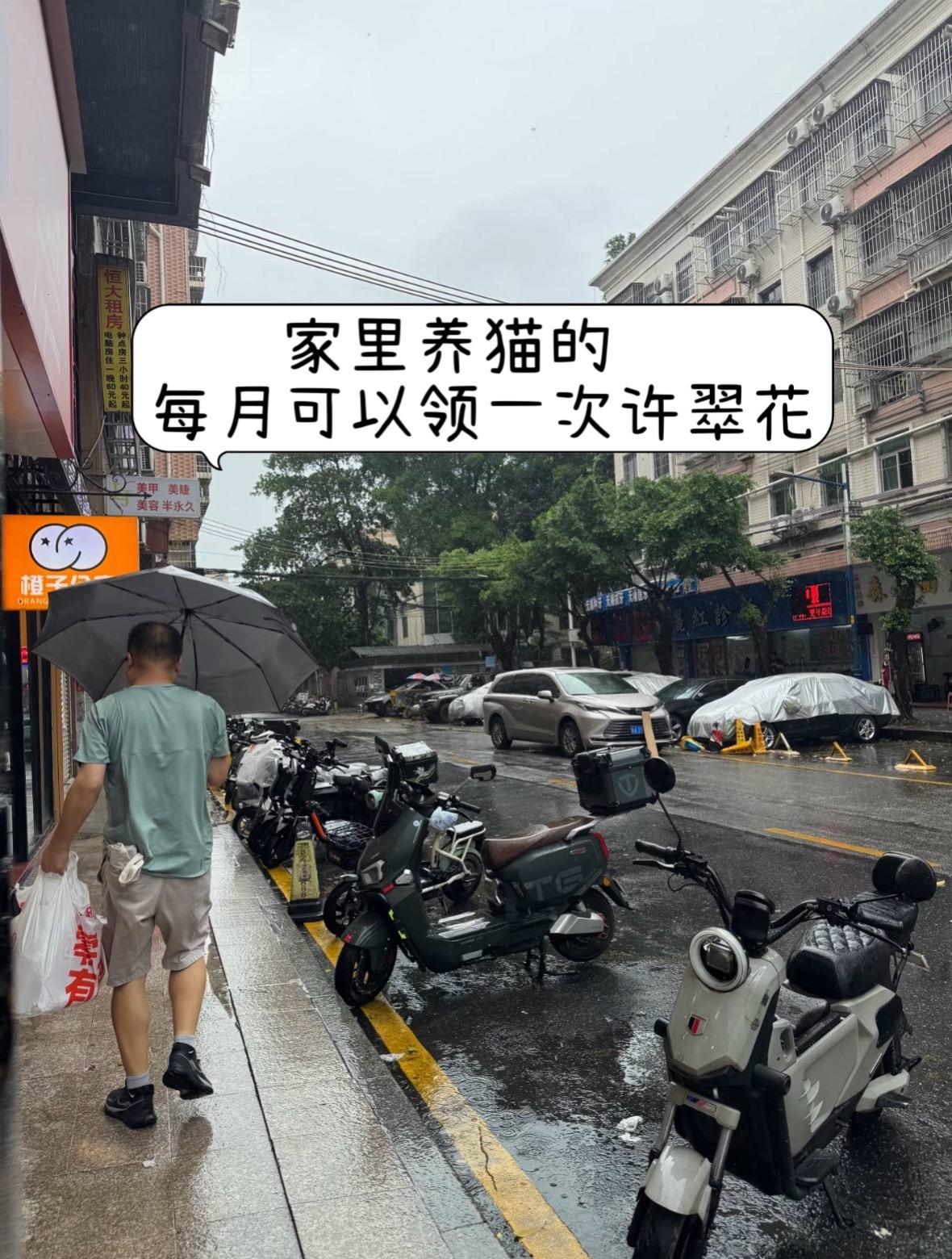换了这款许翠花猫砂后,家里空气都清新了!#许翠花猫砂 #新手养猫