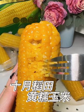 软糯香甜!大人小孩都爱吃!现在价格划算快囤!#十月稻田黄糯玉米 #又甜又糯的玉米 #强烈推荐 #太好吃了 #软糯香甜