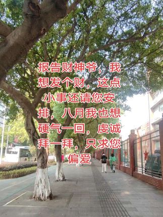 报告财神爷🙏,我想发个财,这点小事还请您安排,八月我也想硬气一回,虔诚拜一拜,只求您偏爱💖#原创视频 #与辉同行 #助手抖音